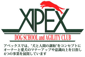 アペックスグループでは、ドッグスクール（福岡県糟屋郡）・アジリティ競技の訓練・アジリティ犬のブリーディング、子犬・ドッググッズの販売を行っています。